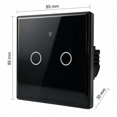 13. QOLTEC LIGHT ON/OFF SWITCH | TOUCH 2-CHANNEL | WI-FI | TIMER | TUYA | BLACK