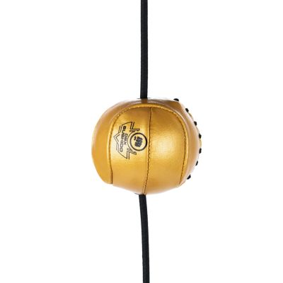 5. Anchor Speed Ball | ProFighter | DBX Bushido