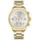 Giewont Sapphire Gold Silver Women's Watch GW3670-B2