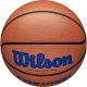 4. WILSON EVOLUTION 295 GAME BASKETBALL SIZE 7