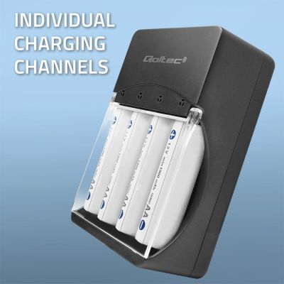3. QOLTEC CHARGER FOR NI-MH BATTERIES TYPE R03/AAA R06/AA | 300MA
