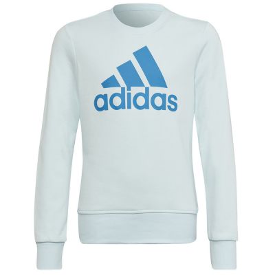 6. Adidas Big Logo Swt Jr HM8707 sweatshirt