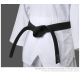 7. Taekwondo Fighter Black Belt 4.5cm | MOOTO