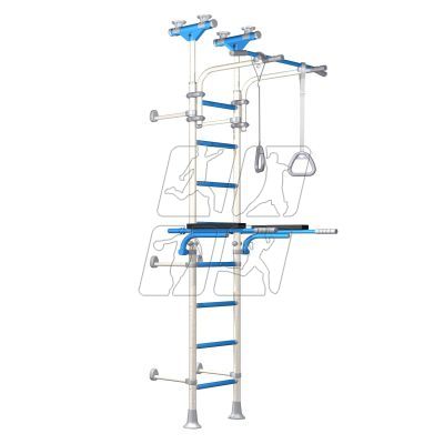 10. Wallbarz Gym EG-W-055 ladder