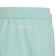 9. adidas Entrada 22 Jr Shorts HC5058