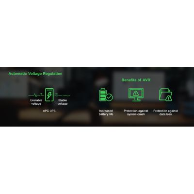13. APC Smart-UPS 750VA LCD 230V with SmartConnect