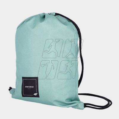 2. Bag, backpack 4F 4FWSS24AGYMU086 47S