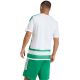4. adidas Hooped 26 Jersey Men’s Shirt white-green KF3393
