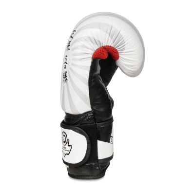4. 10oz Boxing Gloves - Japan - Valor Series