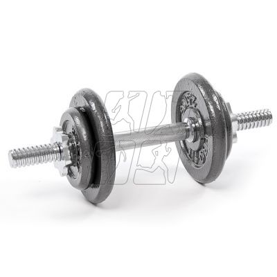 Profit 10kg DK 4126 cast iron dumbbell