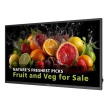 PHILIPS D-Line 50BDL5050D 127.0cm(50") 24/7/UHD/Android14 (Speditionsversand)