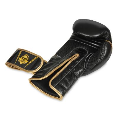 10. 10oz Boxing Gloves - Aureos - Valor Series