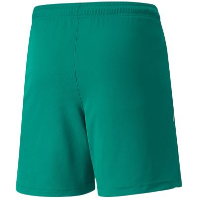 4. Puma teamLIGA Shorts Jr 704931 05