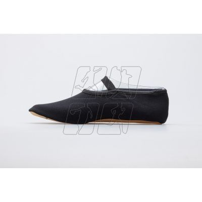 4. IWA 250 ballet flats