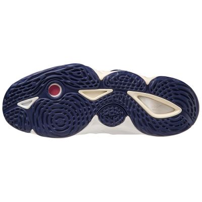 7. Mizuno Wave Momentum 3 MID Volleyball Shoes V1GA231743