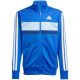 18. adidas Seasonal Essentials Tiberio 3-Stripes Jr JC7518 tracksuit