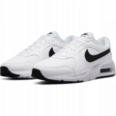 5. Nike Air Max SC M CW4555-102 shoes