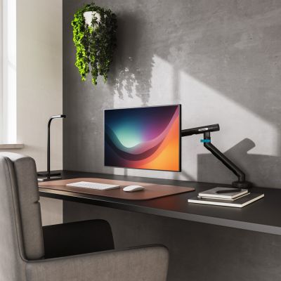 10. Digitus Single Monitor Arm, 35", 10 kg