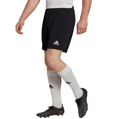 6. adidas Entrada 22 M H57504 shorts