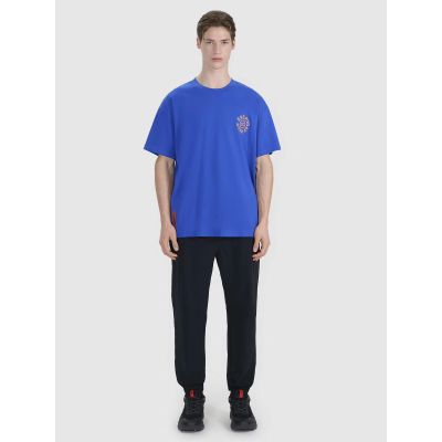 6. Men's oversize printed T-shirt 4F 4FWSS25TTSHM1979-36S