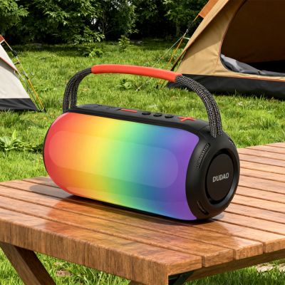 9. Dudao Y21 Wireless Speaker with RGB Backlight Bluetooth 5.3 - Black