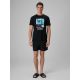 2. Men's regular printed T-shirt 4F 4FRSS26TTSHM4321-20S