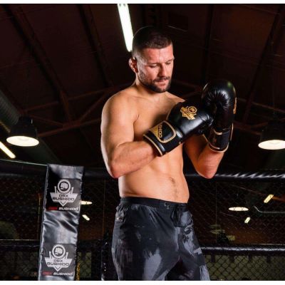 4. 10oz Boxing Gloves - Infinity - Origin Series