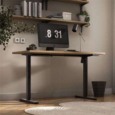 4. Xeno 2.1 electric frame