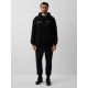 Men's jogger sweatpants 4F 4FRAW26TTROM2175-20S