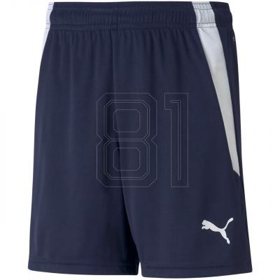 Puma teamLIGA Shorts Jr 704931 06