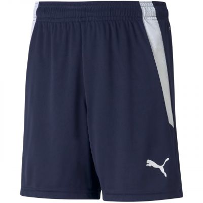 Puma teamLIGA Shorts Jr 704931 06