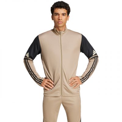 2. Adidas Squadra 25 Training M JP3391 sweatshirt
