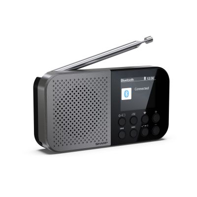 3. Sharp DR-P520 Personal Digital Gray