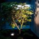 10. MACLEAN SOLAR LED FLOODLIGHT WITH SENSOR MCE438