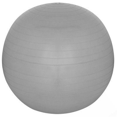 14. FITNESS BALL 55CM ANTIBURST GRAY