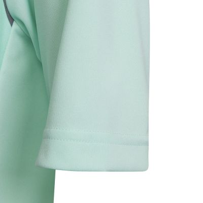 5. adidas Entrada 22 Graphic Jersey Jr HF0127