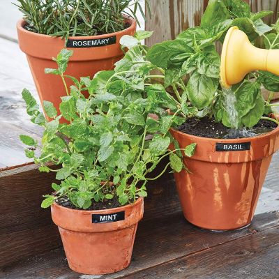 11. DYMO LabelManager 160 6/9/12 mm D1 Azerty tape