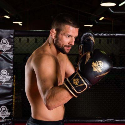 14. 10oz Boxing Gloves - Aureos - Valor Series