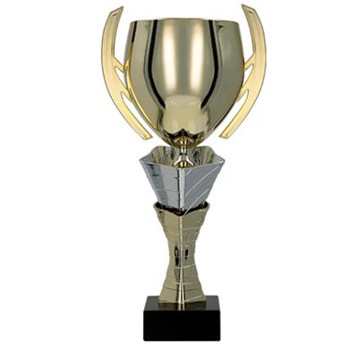 4. Gold and silver metal cup