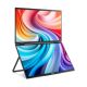 6. Acer PD163QT Portable Monitor Black 39.6 cm (15.6") 1920 x 1080 px