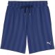 Puma Class 8 Men's Shorts Blue 692355 49