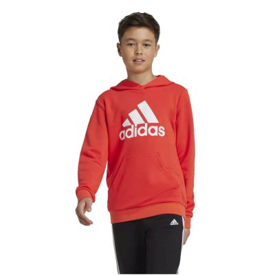 2. Adidas Big Logo Hoodie Jr IX9531 sweatshirt