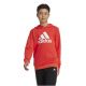 2. Adidas Big Logo Hoodie Jr IX9531 sweatshirt