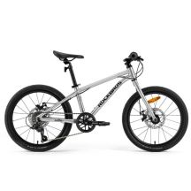 Rockbros bicycle model DARWIN I 20 inches