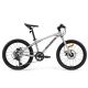 Rockbros bicycle model DARWIN I 20 inches