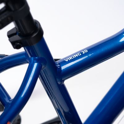 6. Children's Bike Radvik Viking 20 92800597757