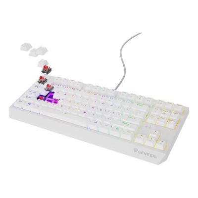 2. GENESIS Thor 230 TKL Gaming Keyboard USB QWERTY US English White