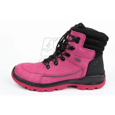 3. Winter boots 4F W OBDH250 55S