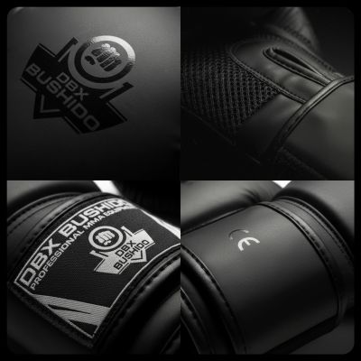 6. 10oz Boxing Gloves - Black Master - Valor Series