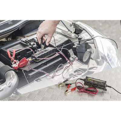 5. DUNLOP BATTERY CHARGER